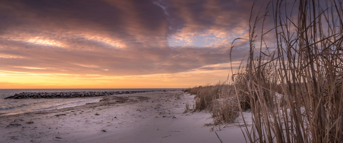 A beach with sand dunes, a rocky breakwater, and tall grasses.