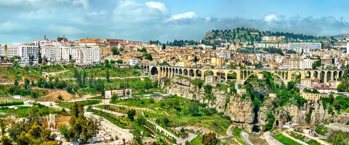 A cityscape with a prominent bridge, dense urban buildings, and surrounding greenery.