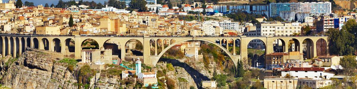A stone bridge over a river, a cityscape with buildings, and a hill with trees.