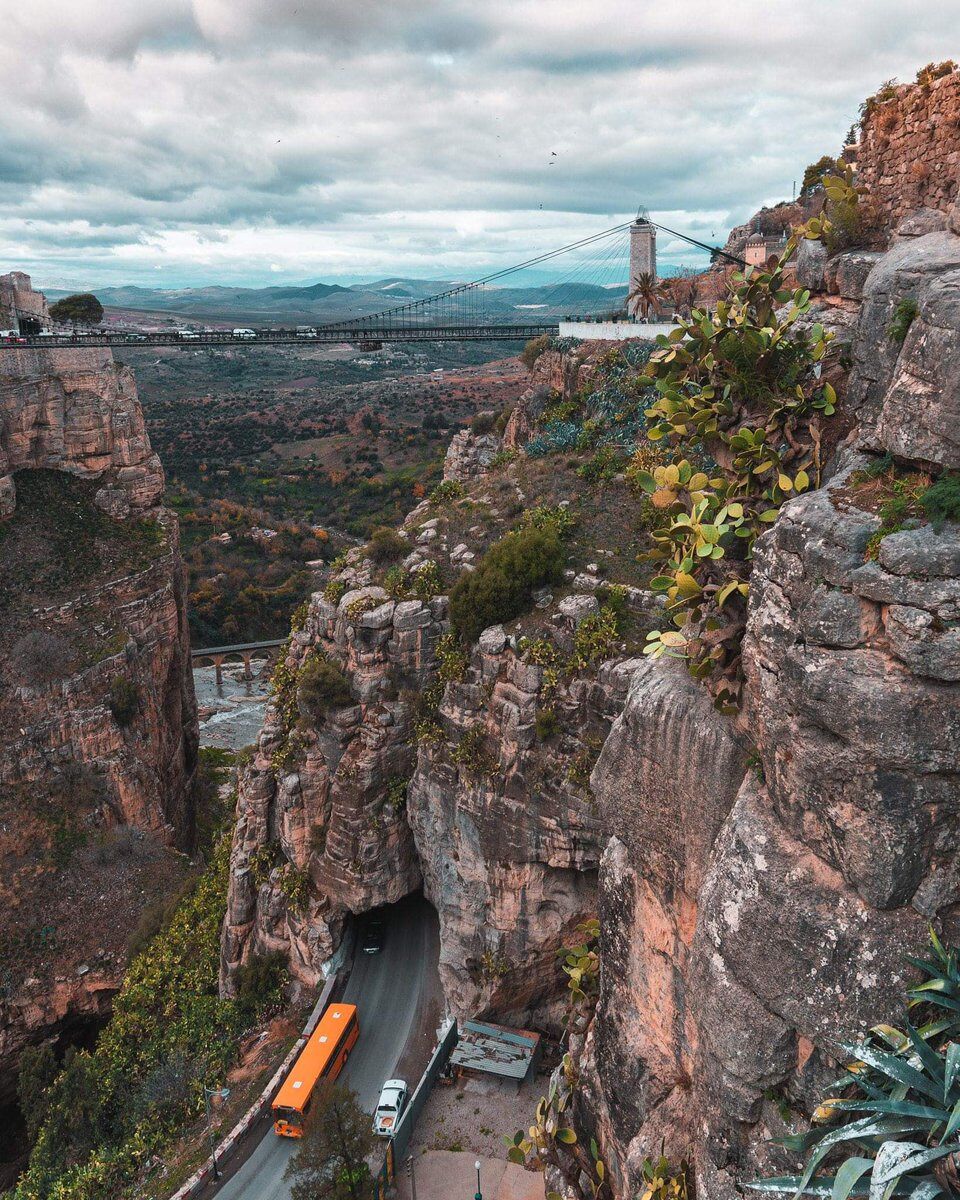 Suspended bridges and tunnel roads