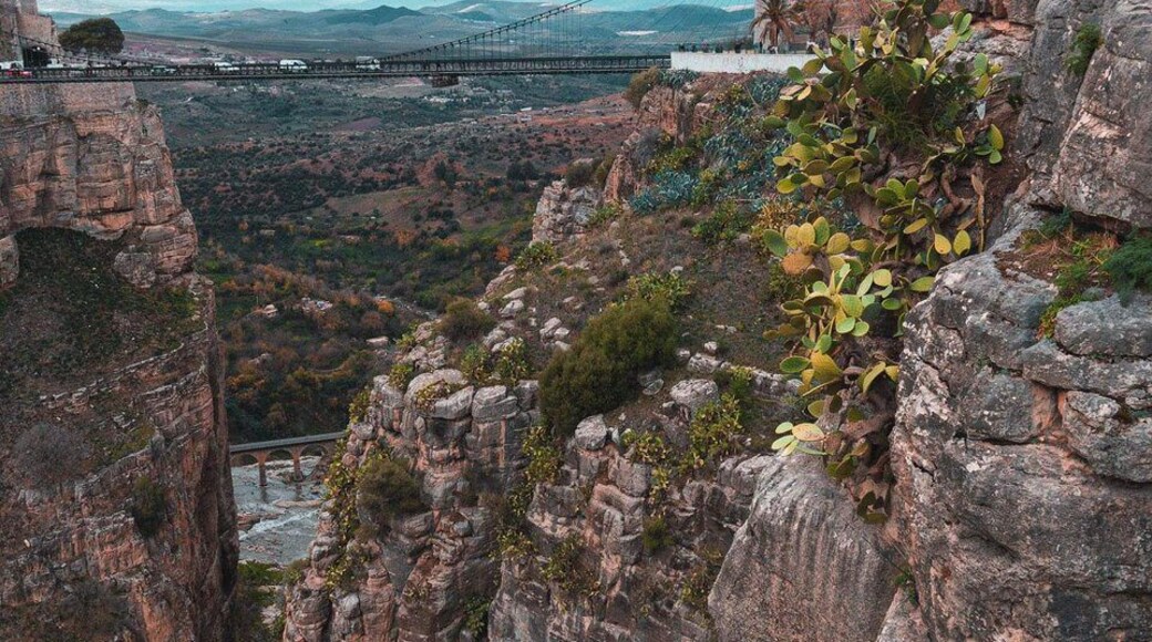 Suspended bridges and tunnel roads