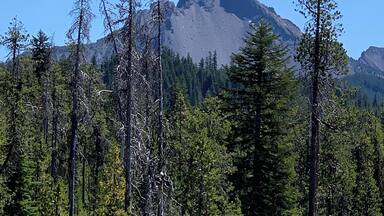 Diamond Lake Overlook.