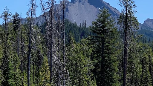 Diamond Lake Overlook.