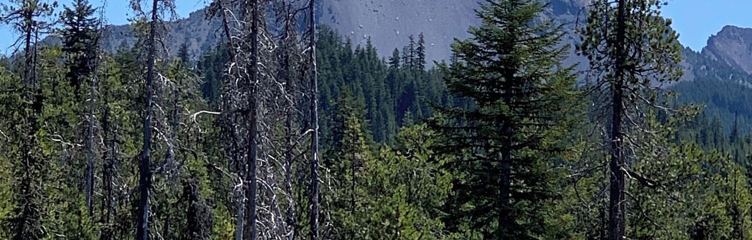 Diamond Lake Overlook.