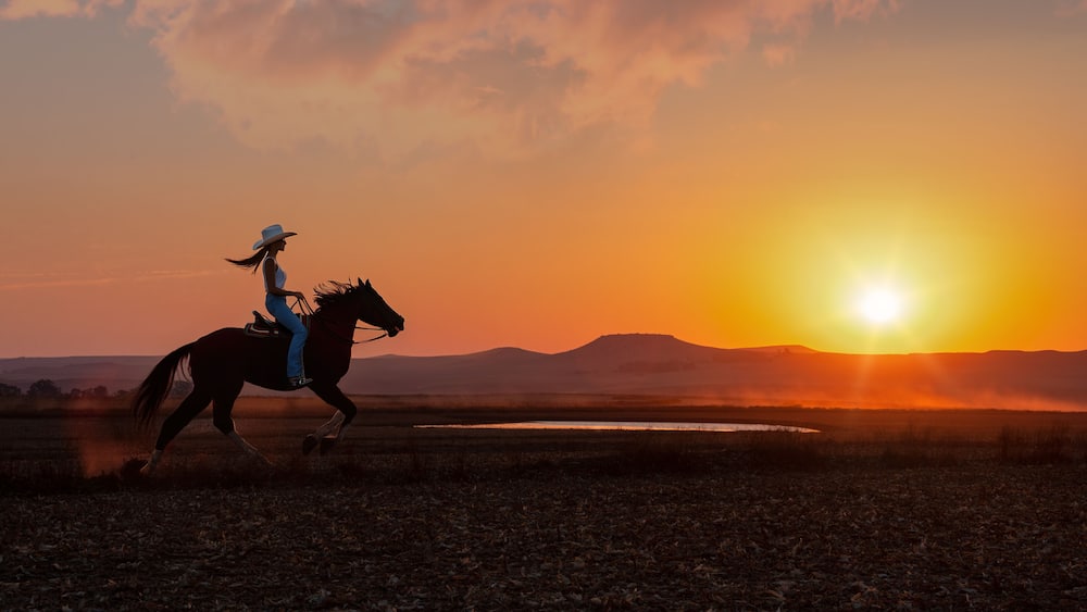 silhouette cowgirl in the sunset riding galloping in the prairie near a waterhole