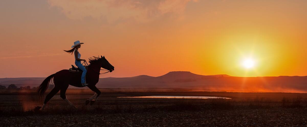 silhouette cowgirl in the sunset riding galloping in the prairie near a waterhole