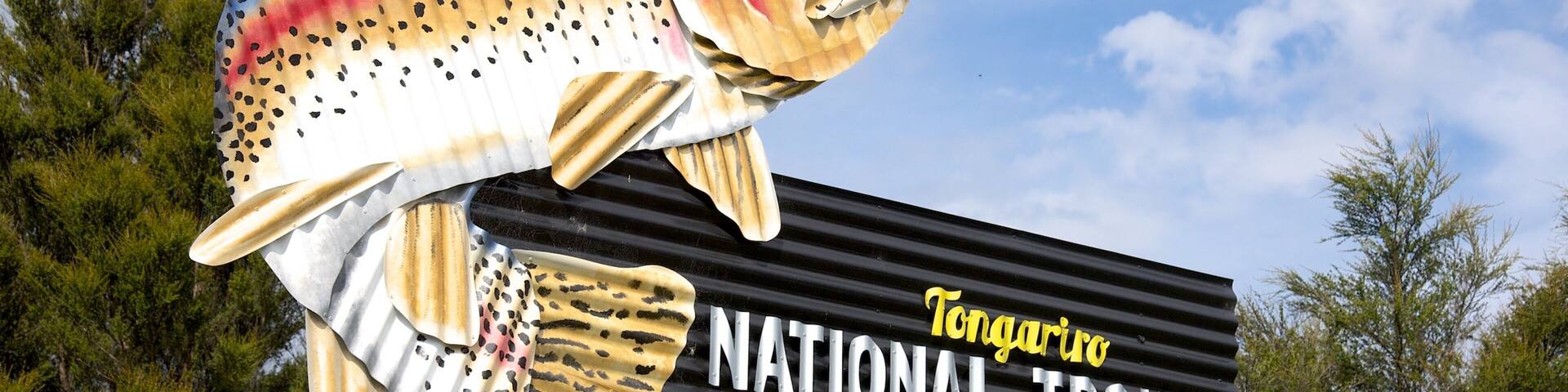 A large fish sculpture with a sign reading "Tongariro National Trout Centre".