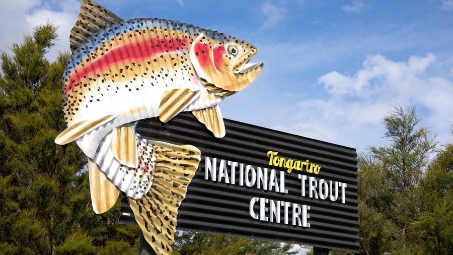 A large fish sculpture with a sign reading "Tongariro National Trout Centre".