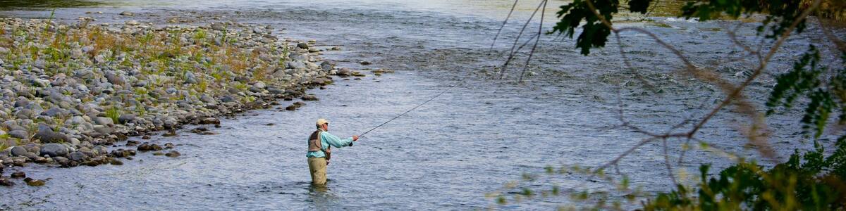 Turangi showing a river or creek and fishing as well as an individual male