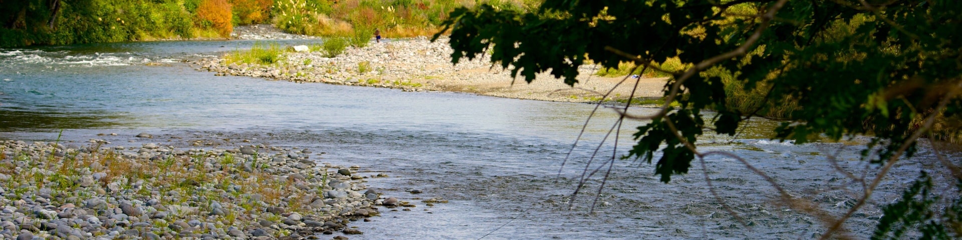 Turangi showing a river or creek and fishing as well as an individual male