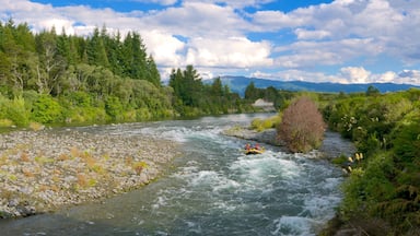 Turangi montrant riviĂšre ou ruisseau et rafting