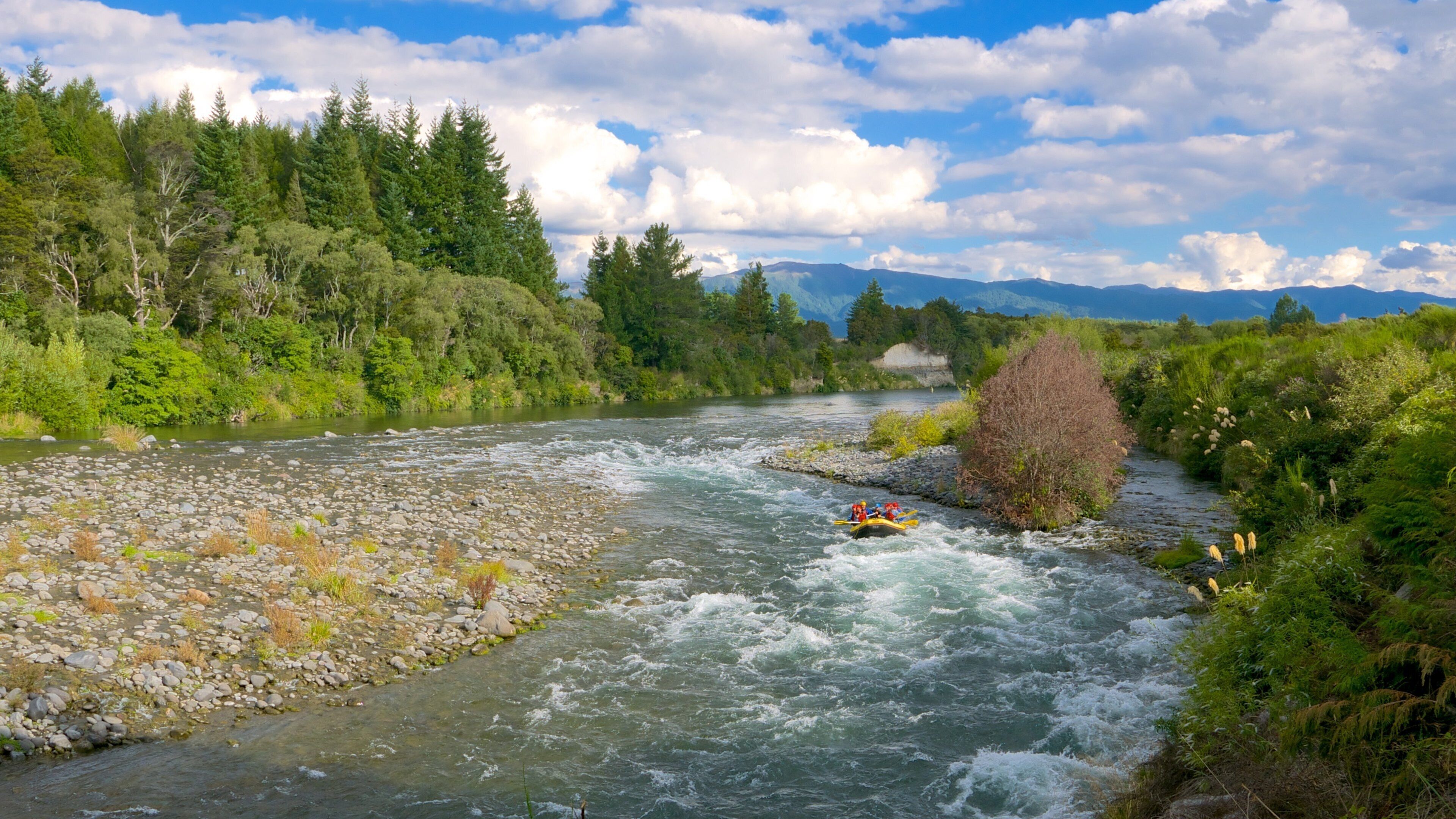 A river with rapids, surrounded by dense forest and mountains in the background.