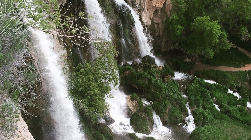 Was surprised by the beauty in Rifle!