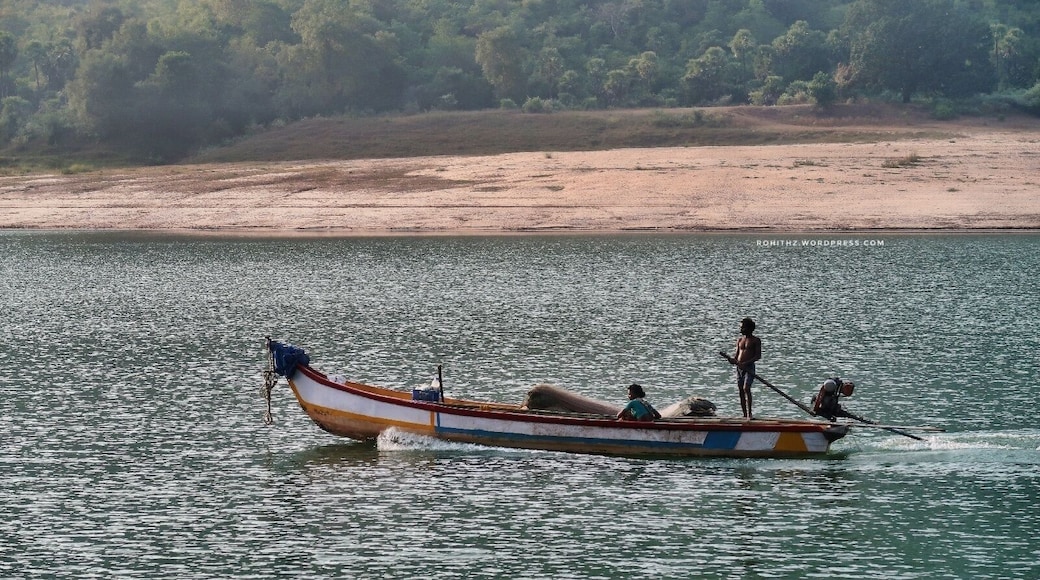 #sailing #godavari #fisherman #travel #andhra #rajahmundry #boating