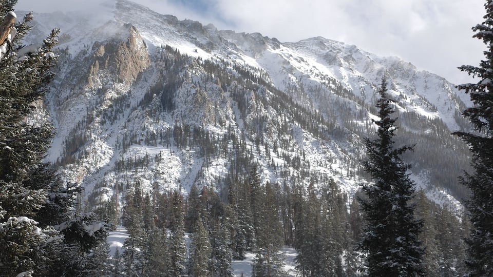 A snow-covered mountain range with dense forests.