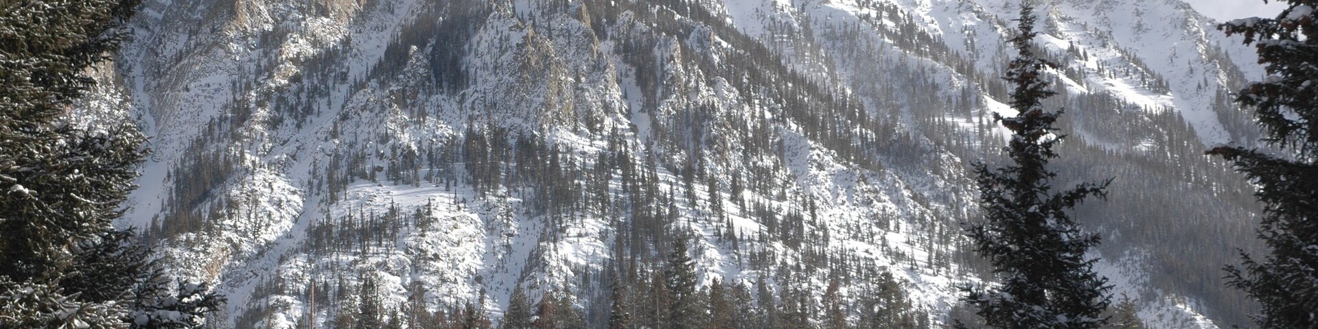 A snow-covered mountain range with dense forests.