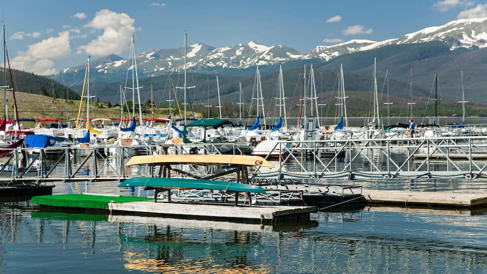 A marina with sailboats docked, a dock with a green canopy, and snow-capped mountains in the background.
