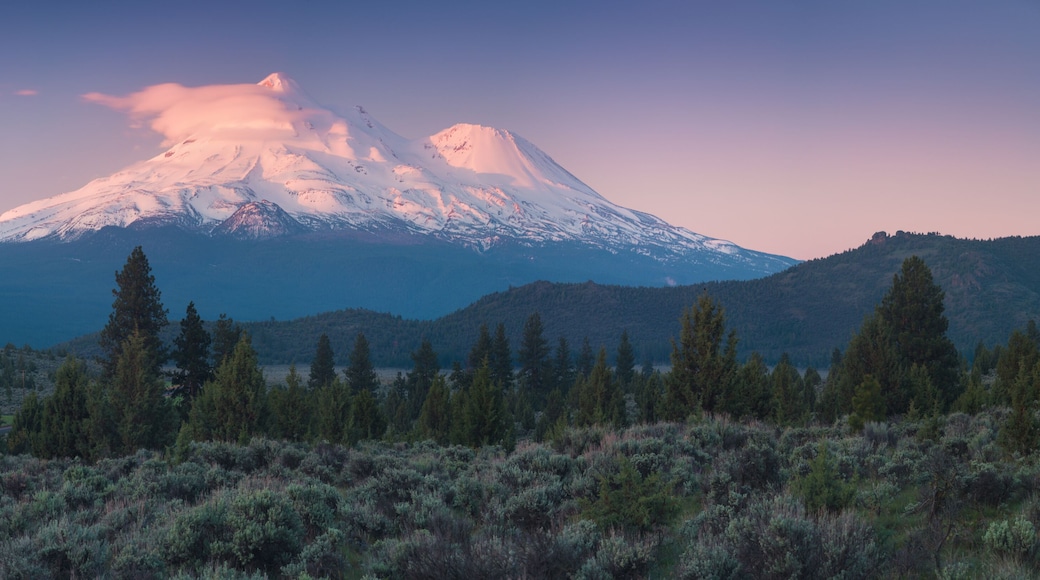 View of Mount Shasta Volcano with glaciers, in California, USA. Panorama from north. Mount Shasta is a potentially active volcano at the southern end of the Cascade Range in Siskiyou County