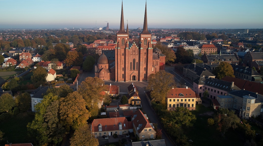 Roskilde cathedral of kings and Roskilde city located in Denmark