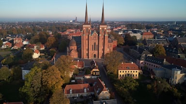 Una catedral con dos altas torres, rodeada de edificios residenciales y árboles.
