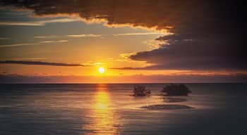 Taking a stroll along the Water Street in Rockport, TX on a recent trip. Pretty amazing recovery after the town was devastated by a hurricane a couple of years ago.