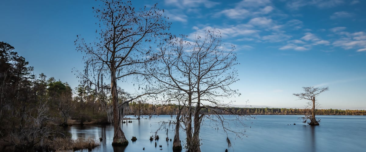 Singletary Lake State Park,North Carolina ,USA