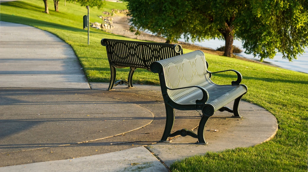 Park benches facing Columbia River in Tri-Cities Washington