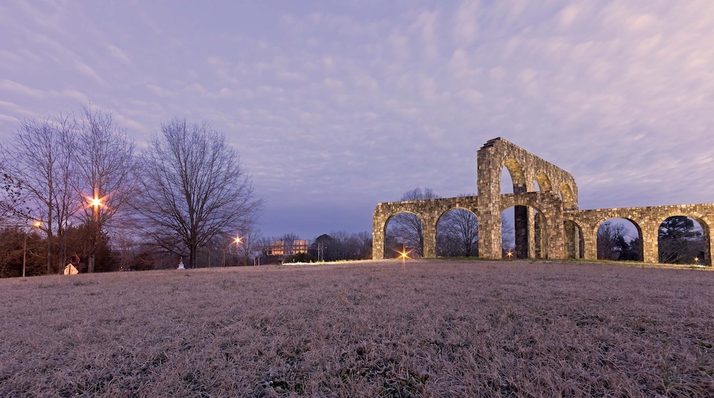 'Porto Futurus in Winter' - Rome, Georgia