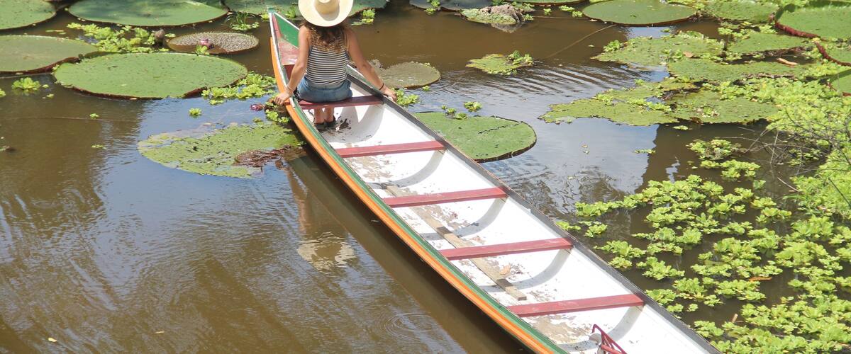 A person in a canoe on a water body with lily pads.
