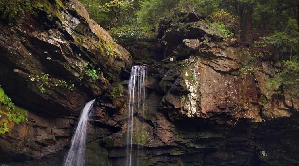 Nice short hike out to Savage Falls.