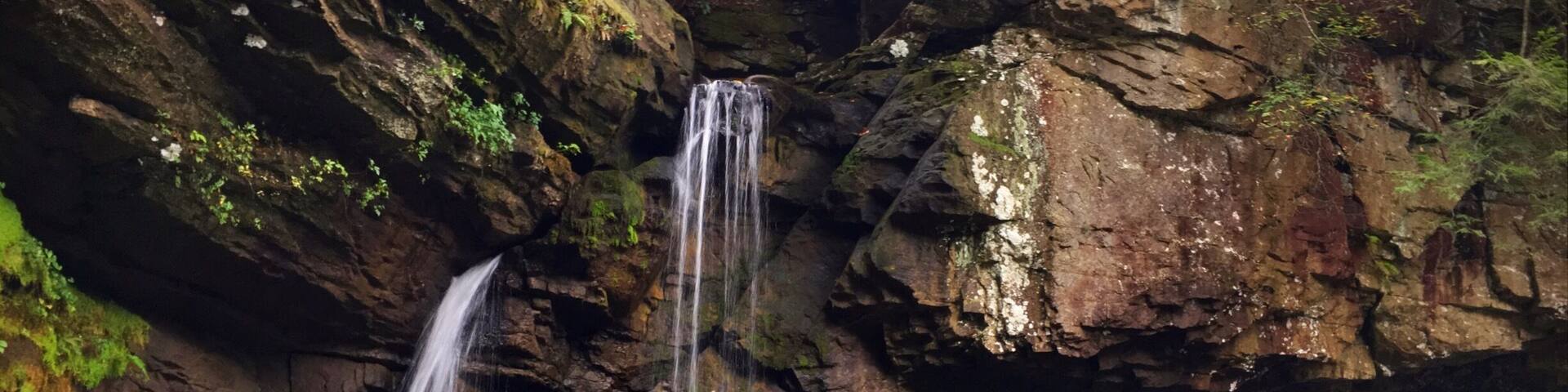 Nice short hike out to Savage Falls.