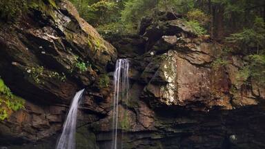 Nice short hike out to Savage Falls.