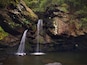 A waterfall cascading down a rocky cliff into a calm pool surrounded by dense forest.