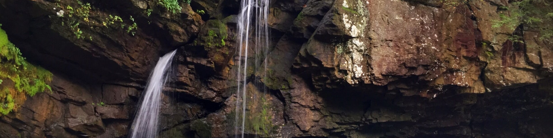Nice short hike out to Savage Falls.