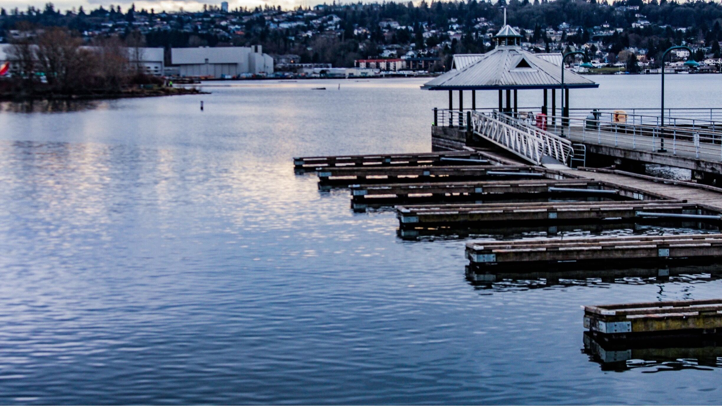 Coulon Beach Park in Renton, WA. Taken from the observation tower. 