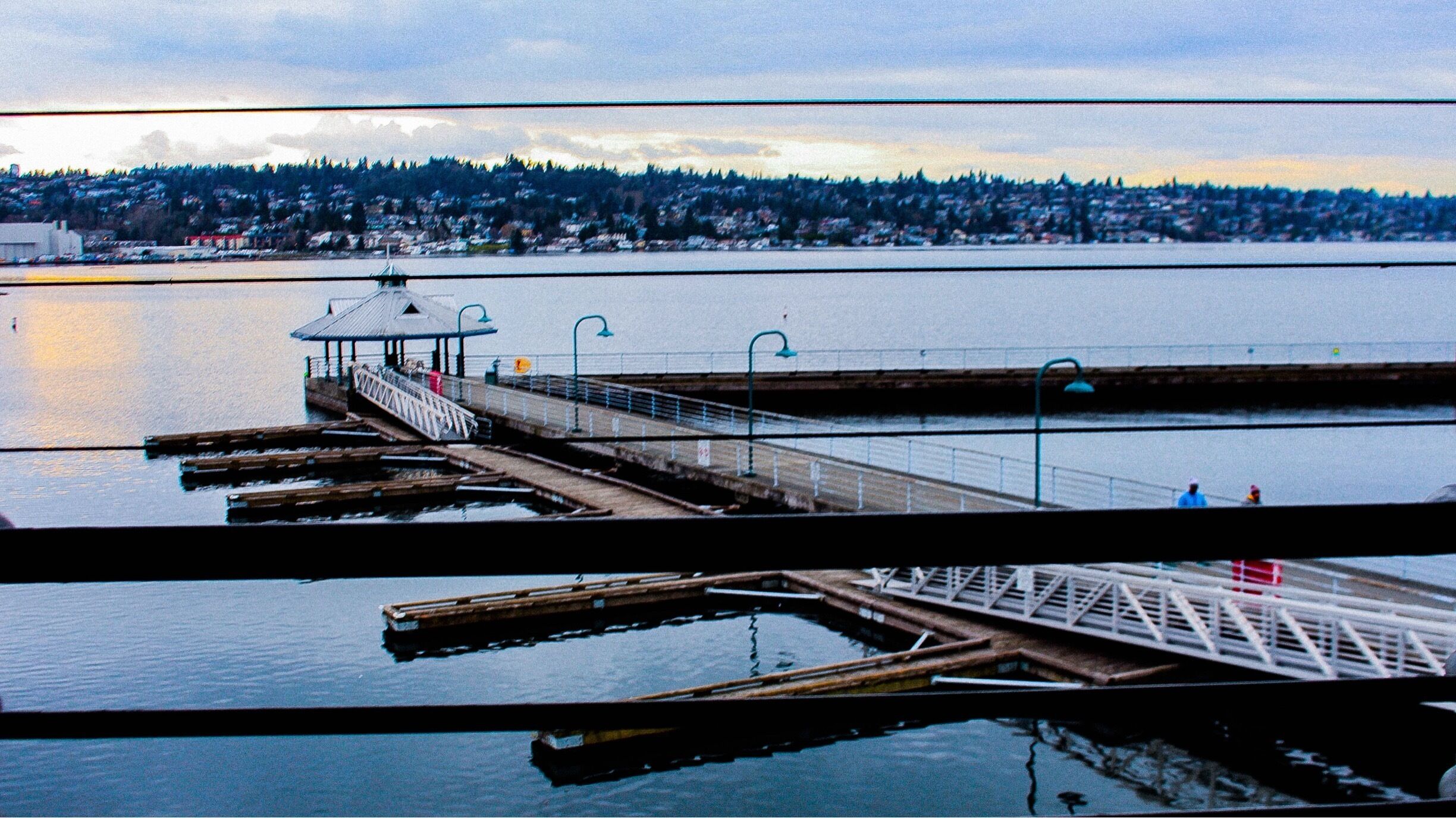 "Hiding from Plain Light" - from the observation tower, behind the slats. 

