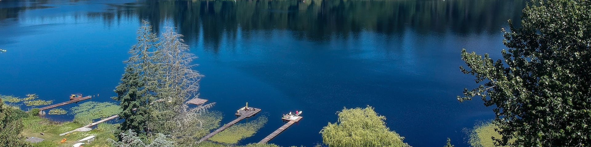 Photogenic Spring Lake on a bright clear day in summertime with trees reflecting in the water a blue sky and white clouds with lily pads dockside in Renton King County Washington State