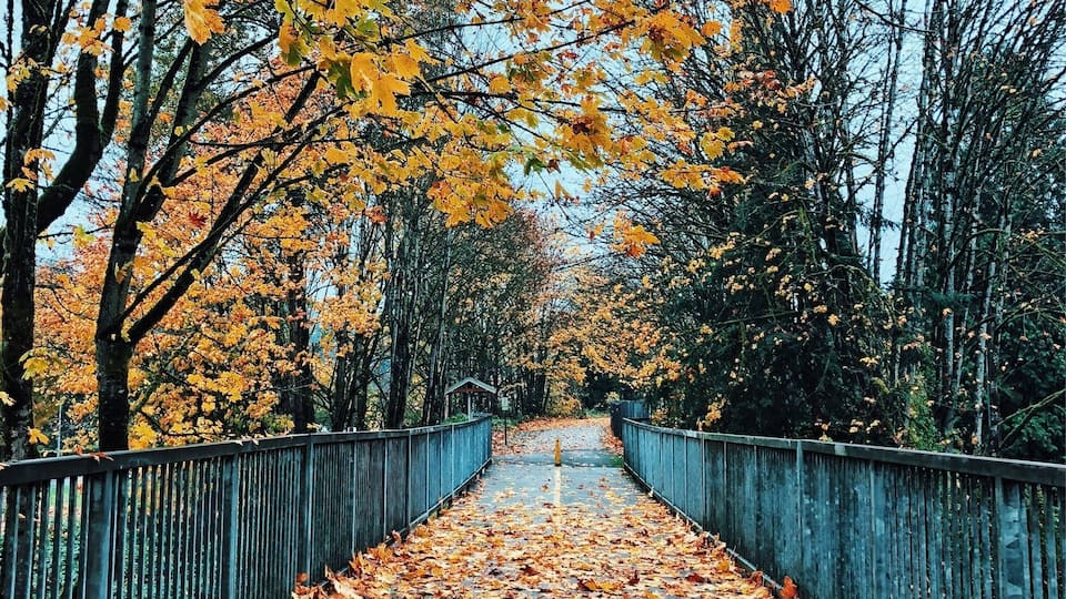 One of my favorite trails for a walk on a fall afternoon.