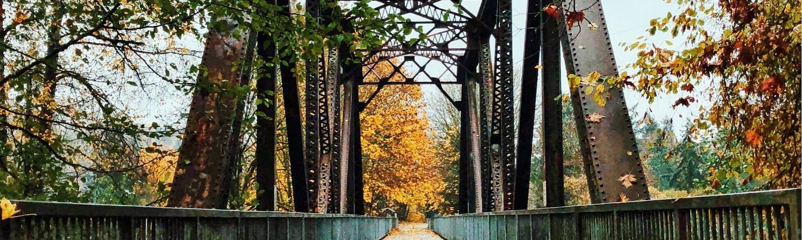 Perfect trail for a run & enjoyment of the autumn colors along the way.