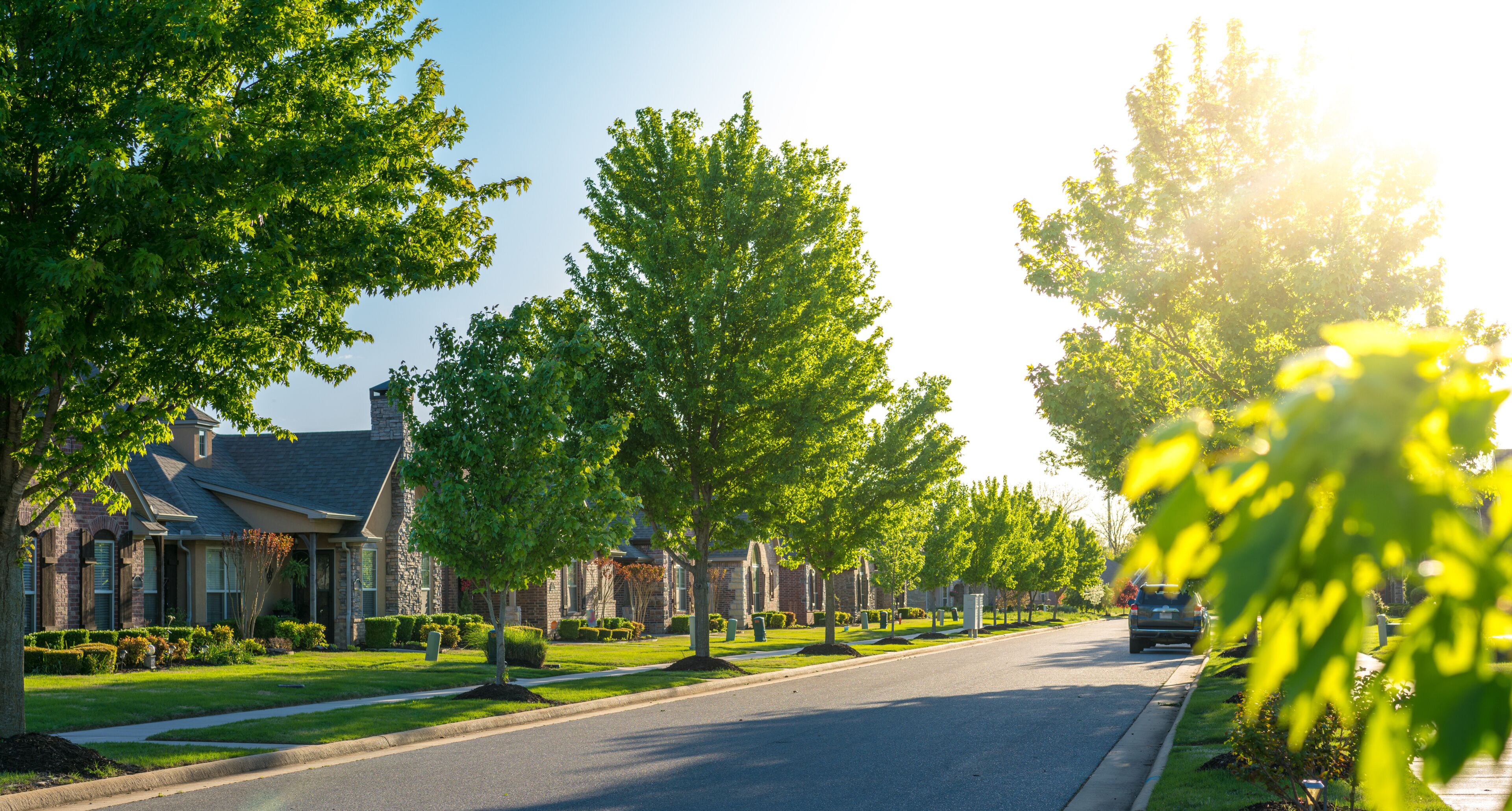 A suburban street lined with trees and houses.