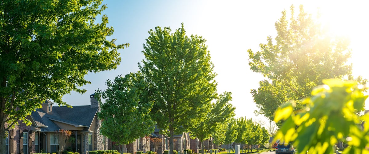 A suburban street lined with trees and houses.