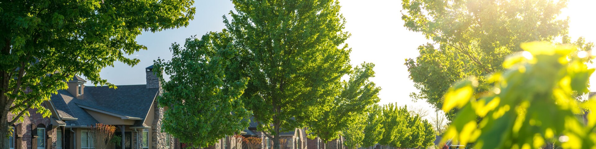 A suburban street lined with trees and houses.