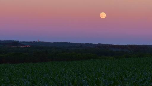 Harvest Moon
#moon