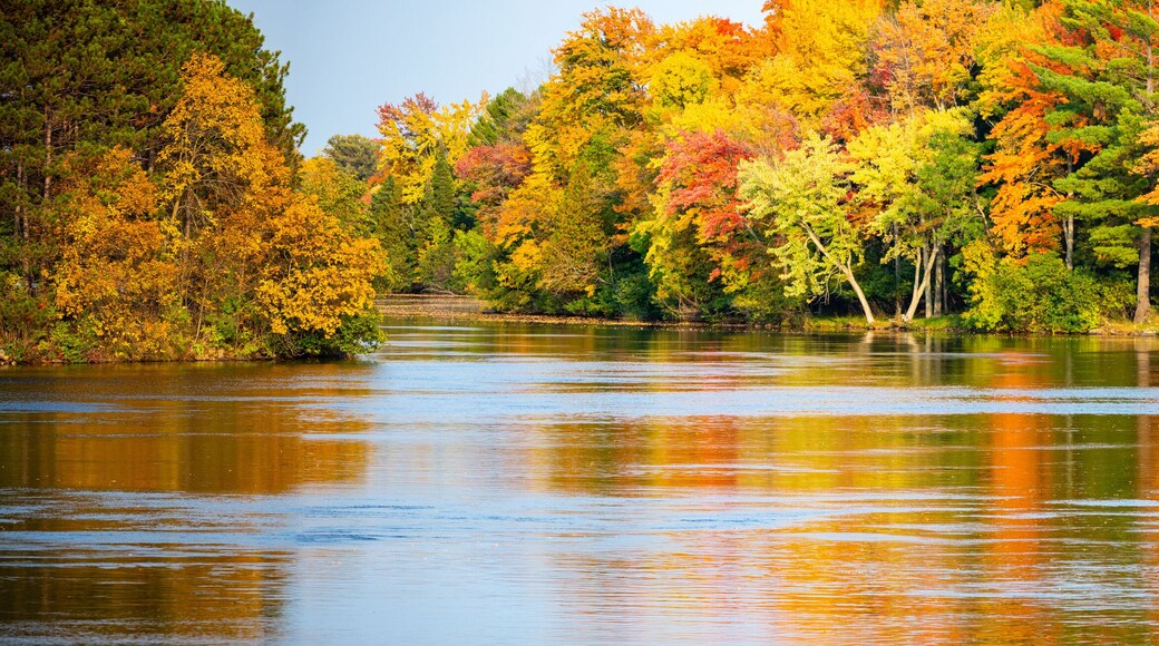 Colorful autumn trees reflecting off of the Wisconsin River in Merrill, Wisconsin