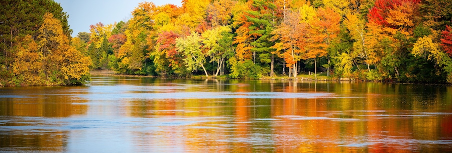 Colorful autumn trees reflecting off of the Wisconsin River in Merrill, Wisconsin