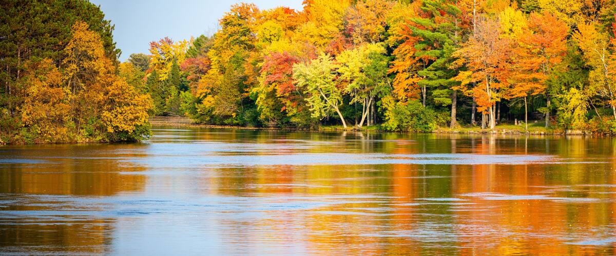 Colorful autumn trees reflecting off of the Wisconsin River in Merrill, Wisconsin