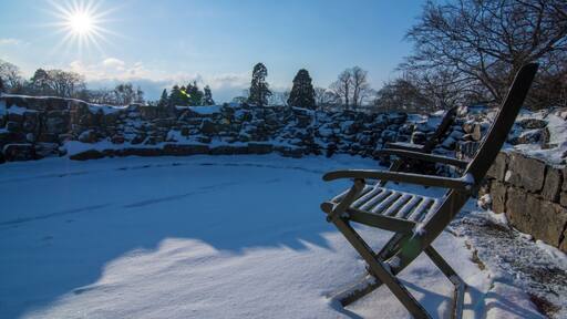 The grounds of Ruthin Castle are fully open to the public, making it an ideal space for walking the dogs and saying hi to the resident peacocks. Walking through the gardens on this snowy day the clouds suddenly cleared to show nothing but clear blue skies
#ruthincastle #ruthin #snowyscene #deckingchair #woodenchair #wideangle #sunny16 #sunburst #sunflare #northwales #BvSApplication #BvSBlue