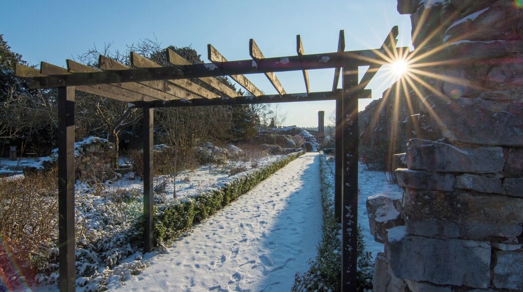 Ruthin Castle Gardens - open to the public all year round. Looks as great in the summer as it does in the depths of winter! Resident peacocks year-round will happily let you get pretty close to them.
This is from my day of filming my #BvSTrover job application video, couldn't resist grabbing a few stills!
#bvstrover #bvs #ruthincastle #ruthin #denbighshire #northwales #castlegarden #sunburst #sunflare