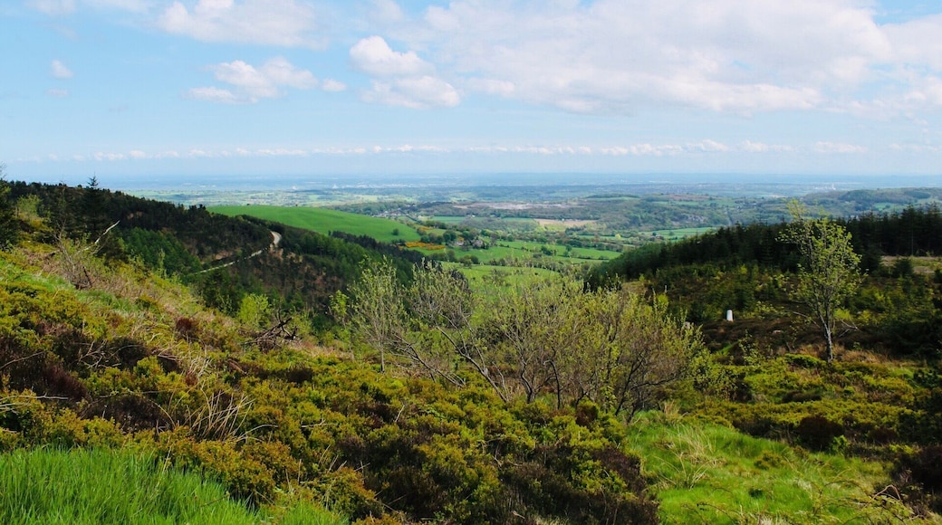 So many nice views around moel famau definitely one of the best places to go! #moelfamau #nearmold #landscapes #beautifulplaces #places #beautifulviews #mountains #hills #lovelyplace #aboveitall