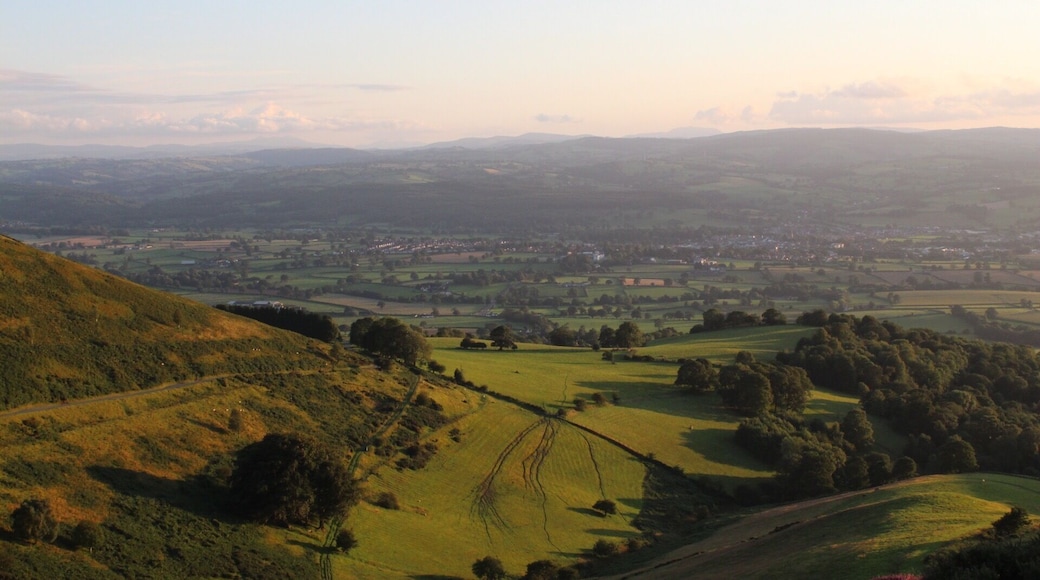 Moel famau beautiful scenery 🌳🌿 #aboveitall